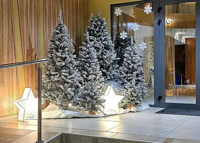 Rin Grand 1 住宿加早餐酒店 4*